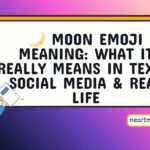 moon emoji meaning
